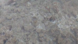 Египет. Орел или Решка