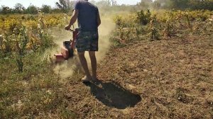 культиватор MTD т 380 м за работой