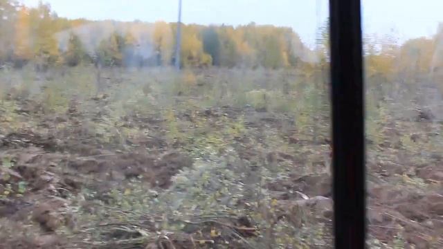 расчистка полей 2021