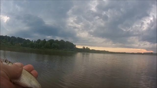 ЛОВЛЯ КАРАСЯ НА СИЛИКОН И МУХУ  МОРМЫШИНГ