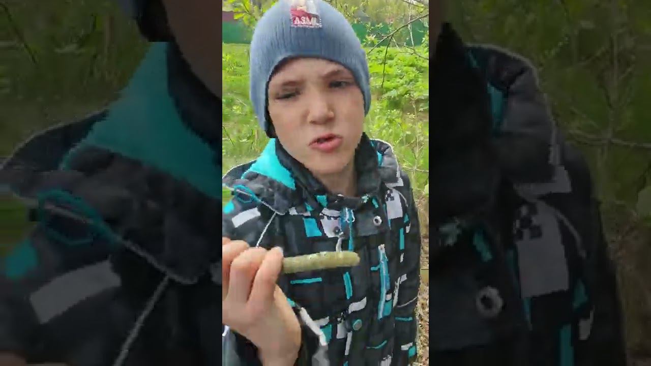 Наша зелëная квартира часть 2 смотреть онлайн