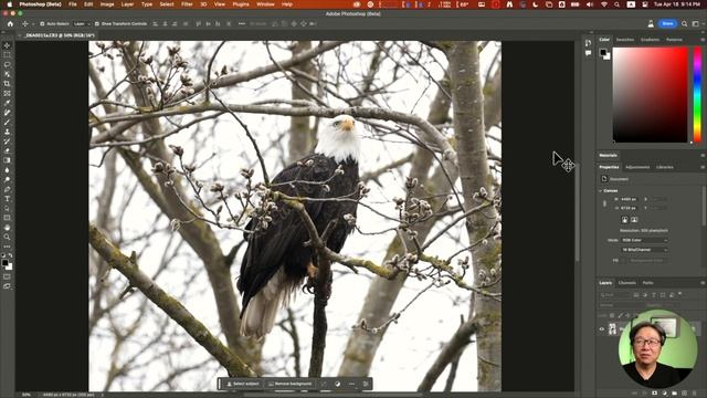 完美除雜訊/雜物 - Photoshop 24.5 Beta #廣東話 #photoshop #photoshop24.5 #Adobe #去除雜訊 смотреть онлайн