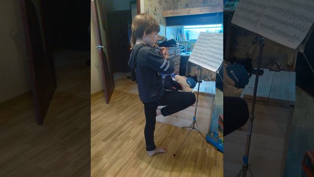 Л. Шпор. Концерт №2, часть 1