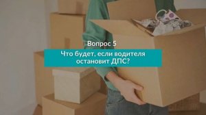 Какой Транспортной Компанией Перевезти Вещи?