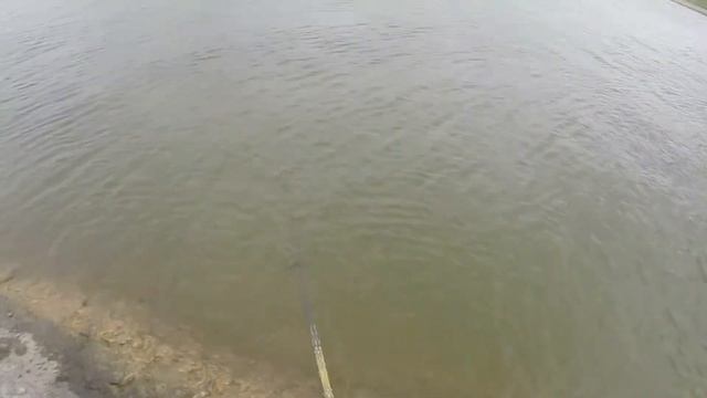 fishing Berdsk смотреть онлайн