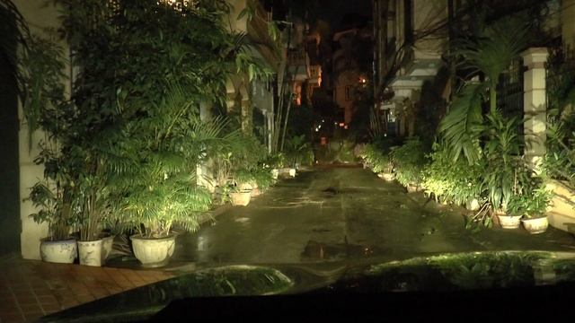 OSRAM XENARC Unlimited D1S смотреть онлайн