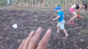 Веерная картофелекопалка для мотоблока. Работаем с позитивом!