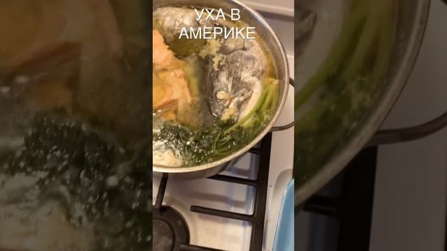 Как жить без супа? Никак.