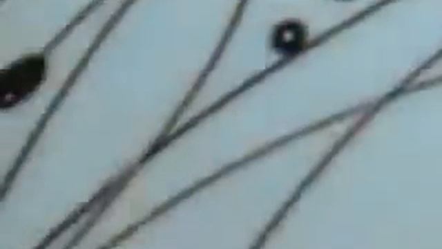 Technique du cornet смотреть онлайн