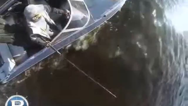 Рыбалка с Волжанкой 51 Фиш