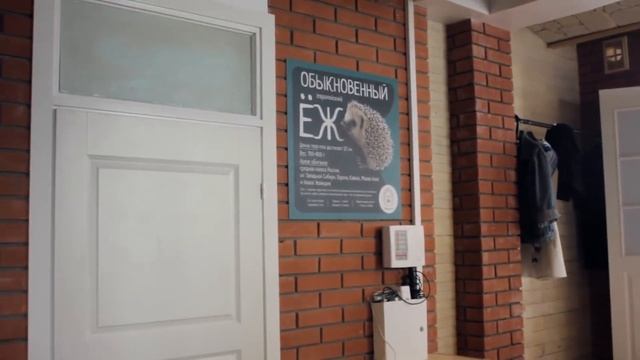 Интересности с OEUVRE. Тайм кафе Ежеминутка смотреть онлайн