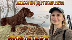 Охота на дупеля 2023 / Great snipe hunting 2023