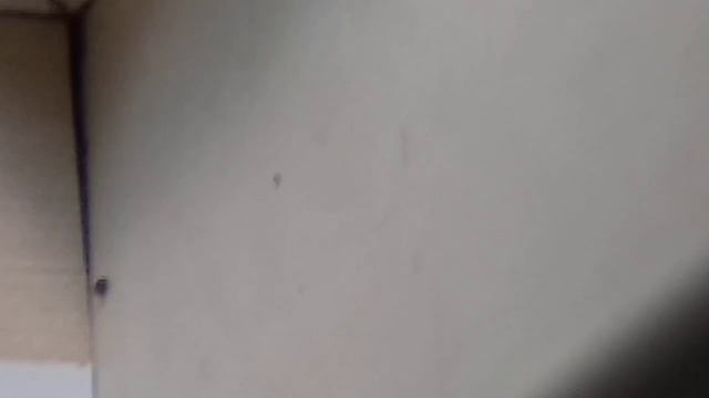 Жизнь божьей коровки 2 серия ? смотреть онлайн