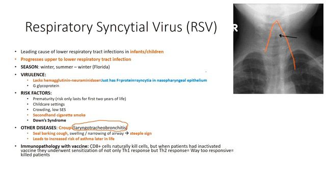 Respiratory Tract Infections смотреть онлайн