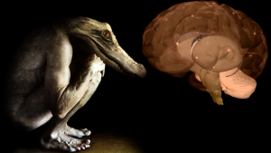 Лимбическая система и поведение человека | Сергей Савельев