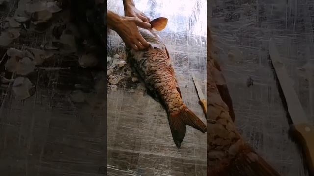 Лайфхак Как быстро очистить чешую с Шести килограммового карпа смотреть онлайн