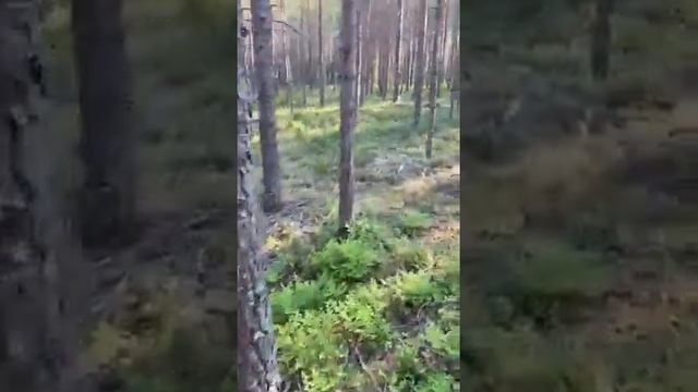 Шепоток-Оберег на все случаи жизни!! смотреть онлайн