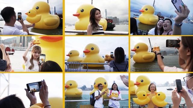 Farewell Duckies on Father's Day! смотреть онлайн