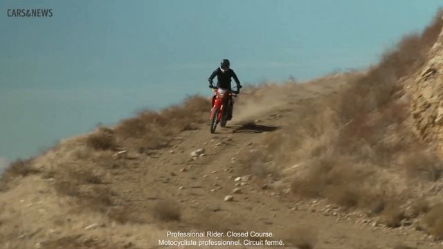 New 2021 Honda CRF300L And CRF300L Rally - Review And Comparison