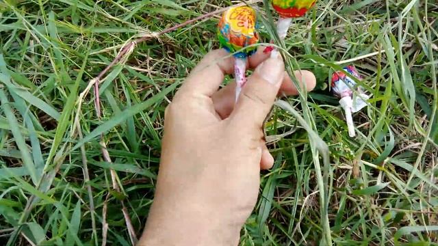 Hunting permen manis viral jelly Korea permen bola mata viral permen lolipop chupa chups permen bol смотреть онлайн