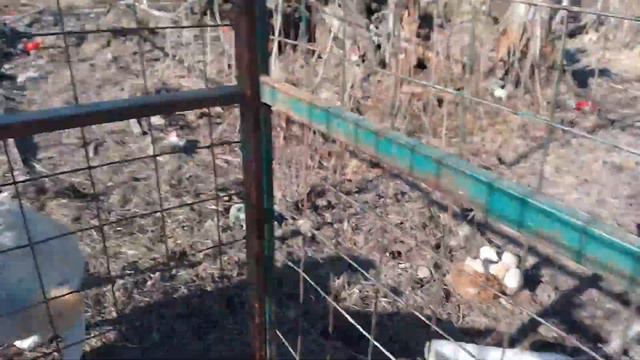 07.04.23. #утреннееутро 2 смотреть онлайн