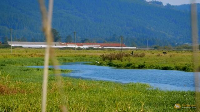 Reservation Ranch | Dairy Farm/Fishing Oasis смотреть онлайн