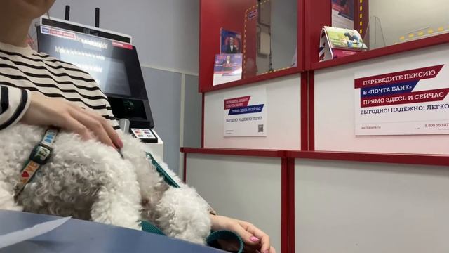 Vlog #1 — Покупки AliExpress/ Подготовка к отпуску. День из жизни смотреть онлайн