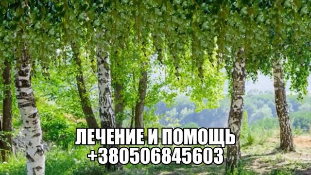 Шизофрения. Астральные и кармические причины. Анализ и выводы. смотреть онлайн