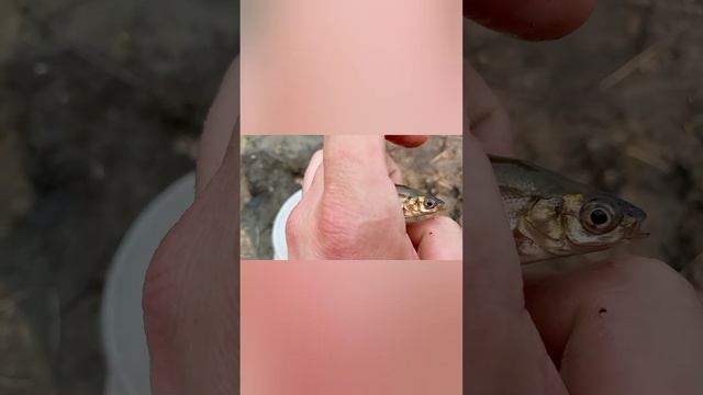 рыбалка на озере смотреть онлайн