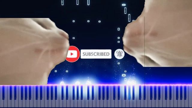 Cat Vibing to Ievan Polkka | Sohail Pianist смотреть онлайн