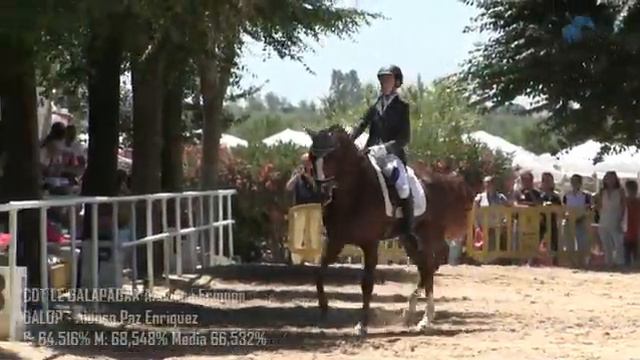 23 ALEVINES EQUIPOS GALOP ALONSO PAZ ENRIQUEZ смотреть онлайн
