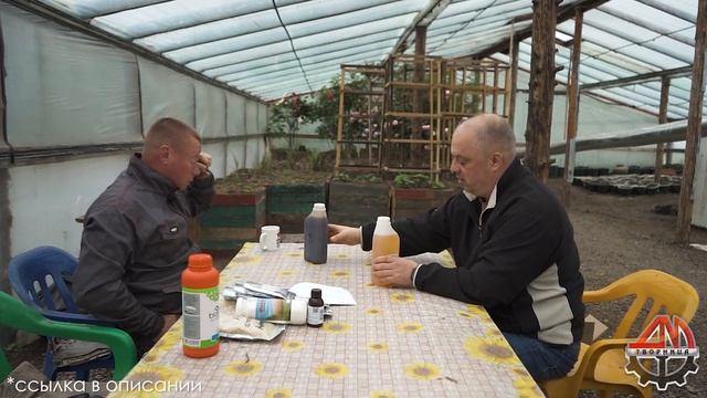 Атлантис для выращивания самой большой тыквы? смотреть онлайн