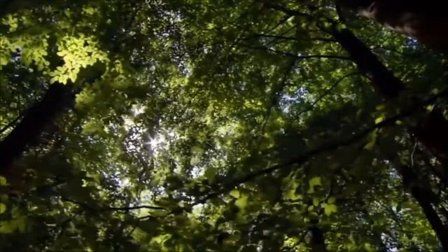 Белой акации гроздья душистые Виталина Красницкая (романс) смотреть онлайн