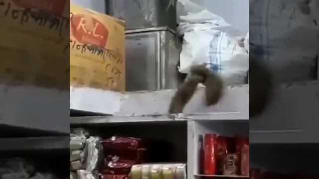 Бой без прав Азербайджан против не знаю кого смотреть онлайн