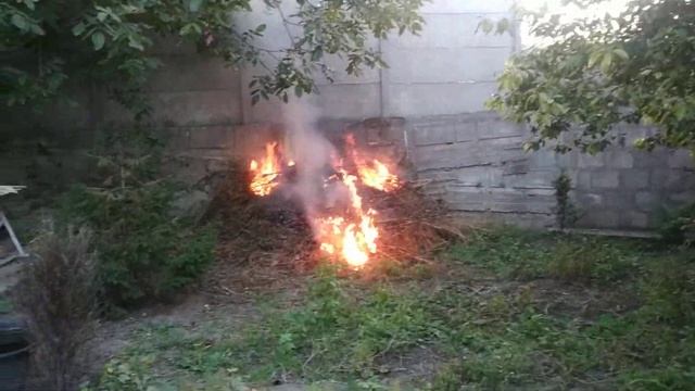 Костёр в огороде. Убираем бурьян во дворе, вот что будет если канистру с бензином кинуть в костёр. смотреть онлайн