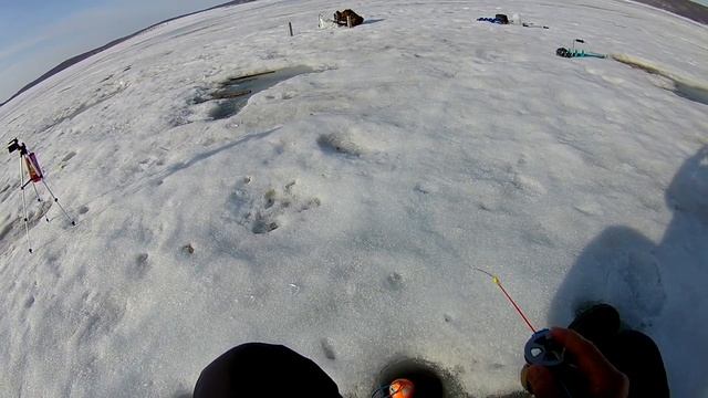 Зимняя рыбалка Последний лед Будьте осторожны смотреть онлайн