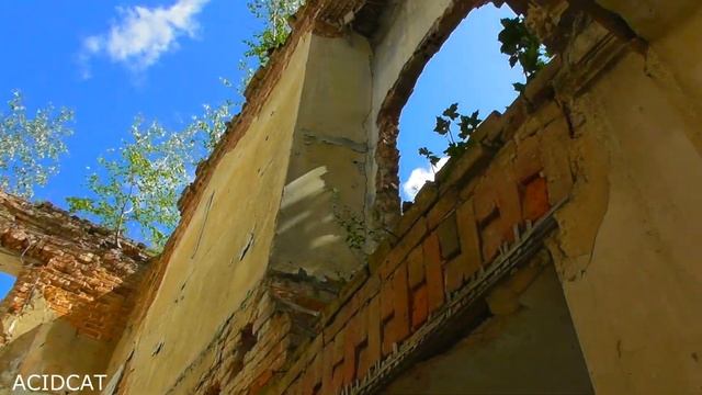 ЗАБРОШЕННАЯ УСАДЬБА МОЛОДИ-ЧЕХОВСКИЙ РАЙОН-27.07.19 смотреть онлайн