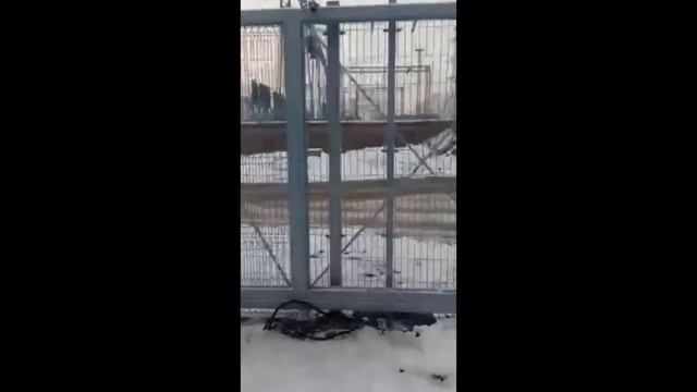 Забор из панелей 3Д (монтаж) смотреть онлайн