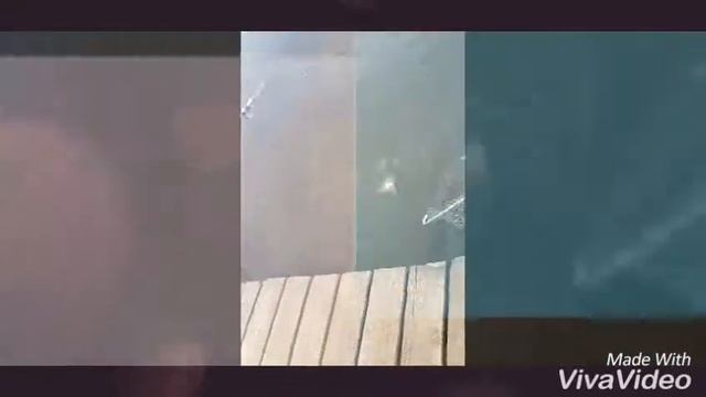 рыбалка Машкова смотреть онлайн