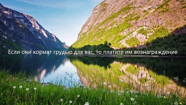 красивое чтение Сура Ат-Талак (Развод) #islam #quran #sunnah #quranrecitation #ummah #allahuakbar