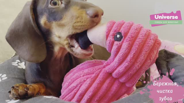 PU3012 Игрушка для собак Мягкая игрушка Розовый фламинго для собак, со звуком, 40х16 см смотреть онлайн