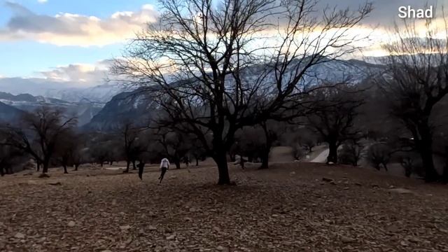 Tales of Resilience: Homeless Women and Nomadic Widows смотреть онлайн