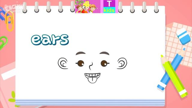 English - Body - Emotions - Face