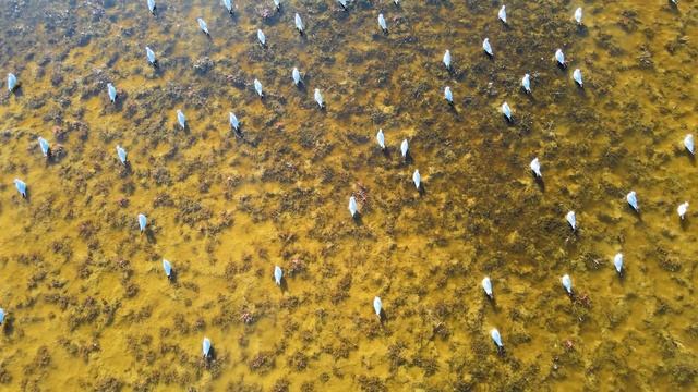 Безмятежность Священного Ветра . Медитация на флейте коренных американцев для гармонии смотреть онлайн