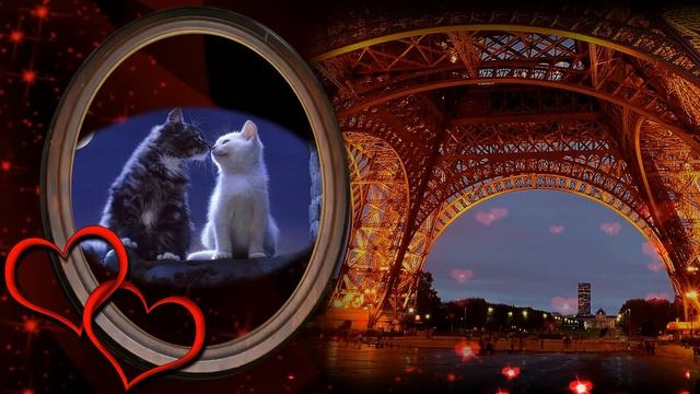Кошачье танго. Наталья Масленникова. смотреть онлайн