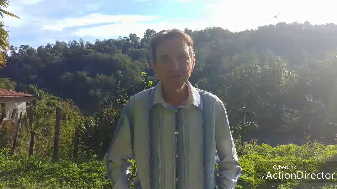 Как вашими мыслями создаётся будущее Человечества смотреть онлайн