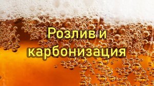 Розлив и карбонизация домашнего пива