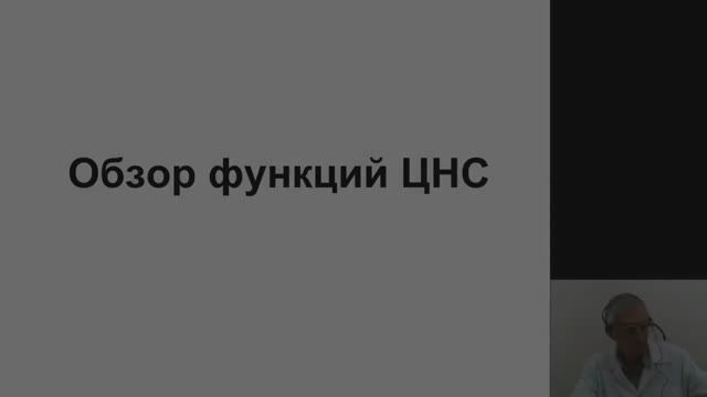 Нормальная физиология. Обзор функций ЦНС