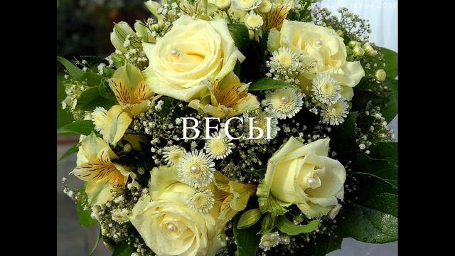 ЦВЕТЫ ПО ЗНАКУ ЗОДИАКА смотреть онлайн