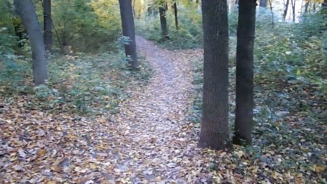 Стихи. Павел Колядинцев - Октябрь смотреть онлайн